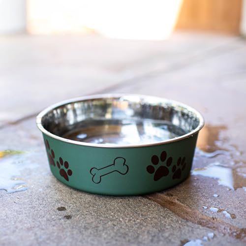 Nonslip Stainless Steel Pet Bowl