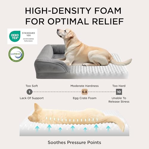 Bolstered Foam Dog Bed