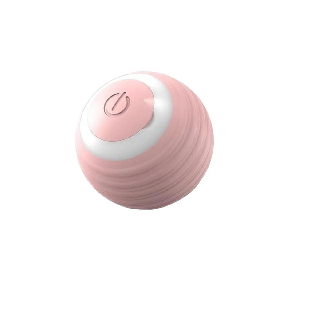 Self-Rolling Pet Play Ball