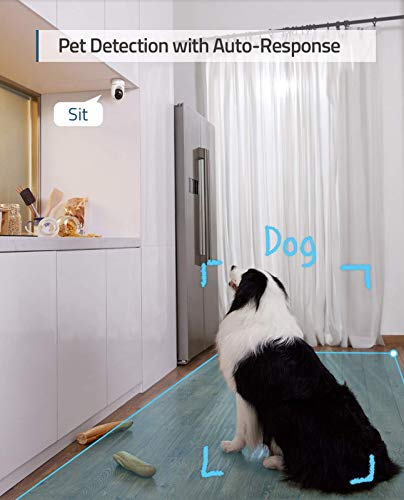 Dual-Camera Indoor Pet Monitor Set