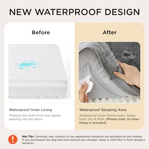 Bolstered Foam Dog Bed
