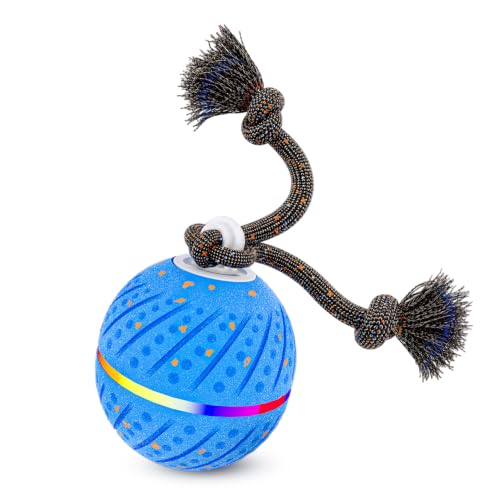 Motion-Activated Dog Ball