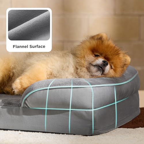Bolstered Foam Dog Bed