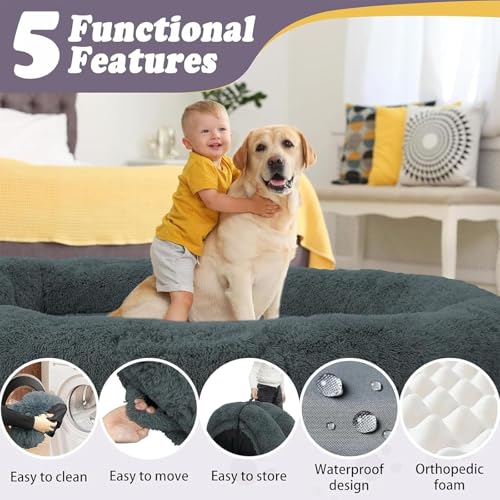 Foldable Foam Pet Bed & Blanket