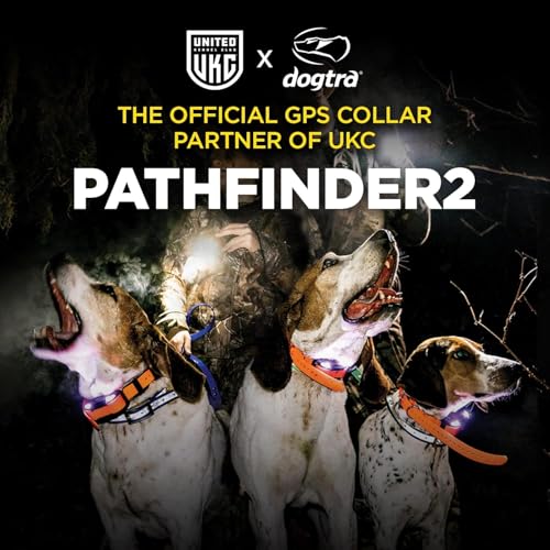 GPS Dog Tracking & Training System