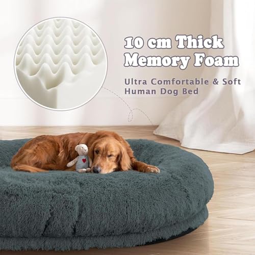 Foldable Foam Pet Bed & Blanket