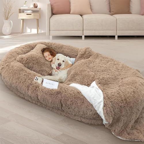 Foldable Foam Pet Bed & Blanket