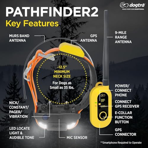 GPS Dog Tracking & Training System