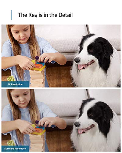 Dual-Camera Indoor Pet Monitor Set