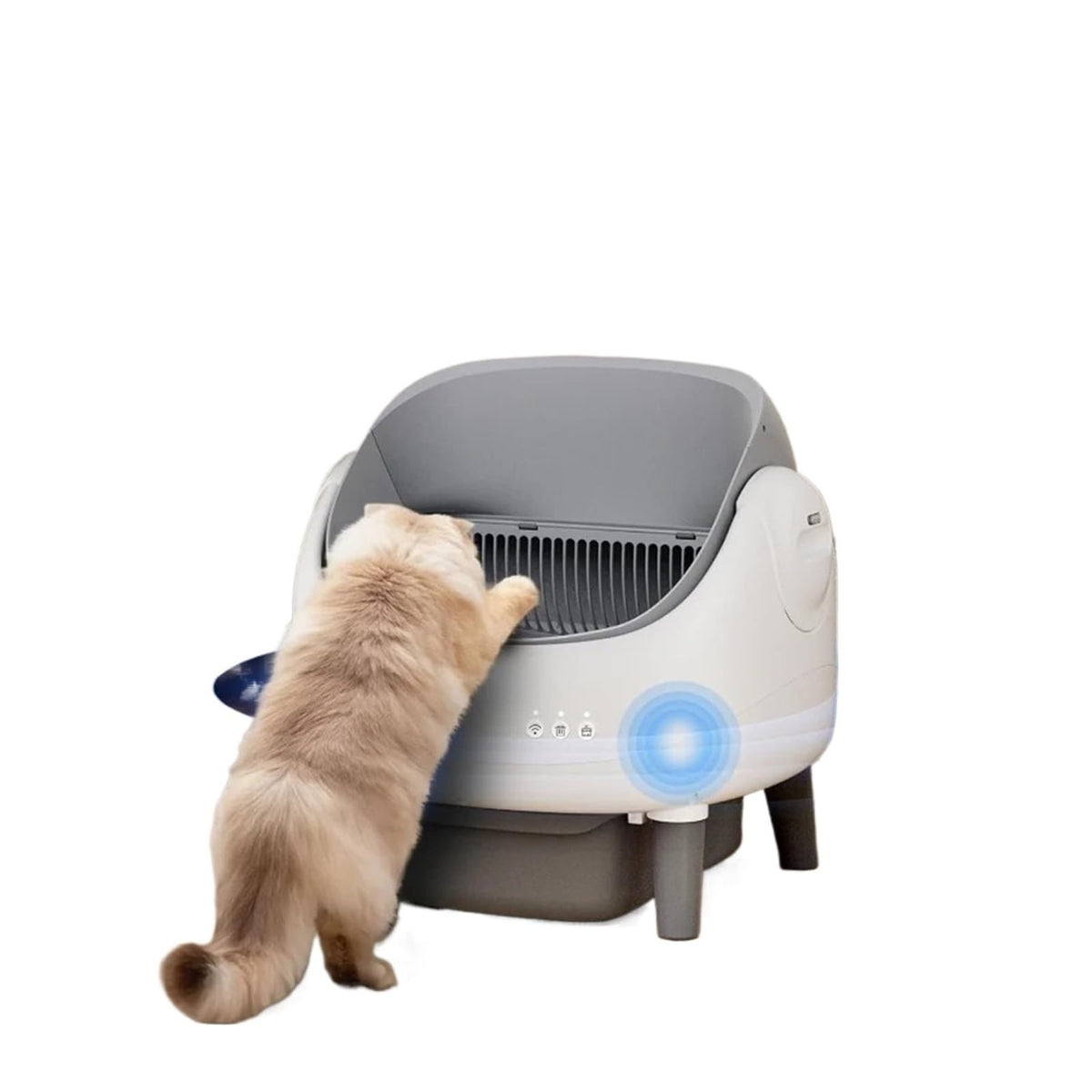 Open-Top Self-Cleaning Litter Box