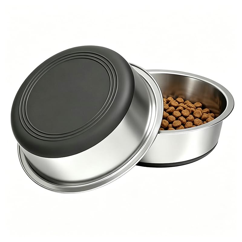 Stainless Steel Pet Bowl 2-Pack