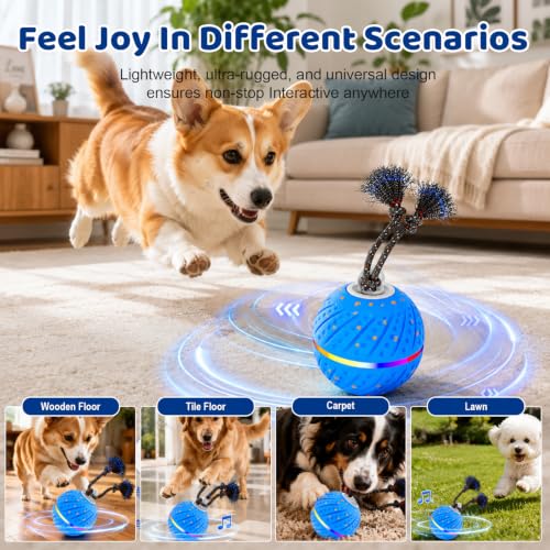 Motion-Activated Dog Ball