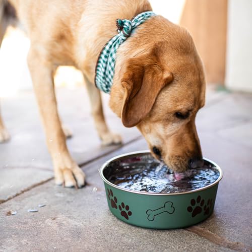Nonslip Stainless Steel Pet Bowl