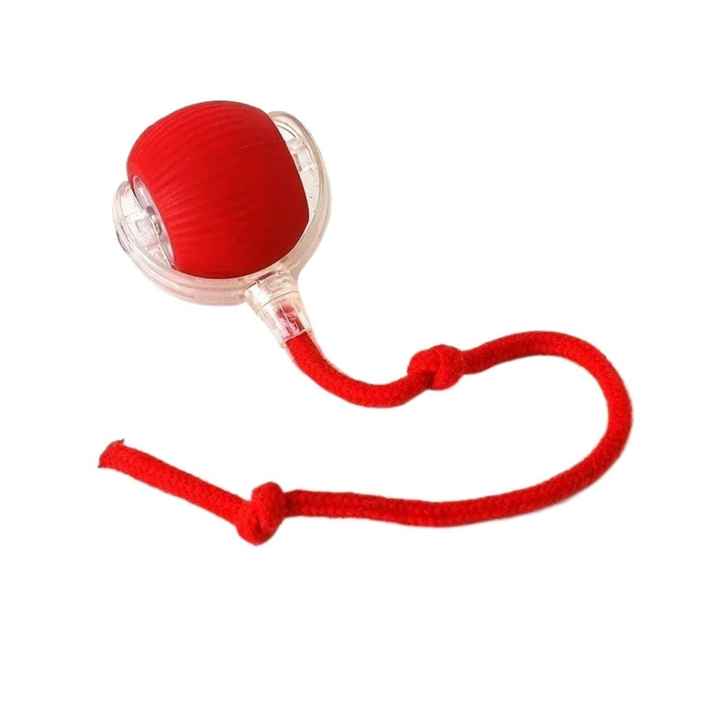 Self-Rolling Pet Play Ball
