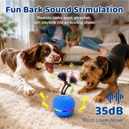 Motion-Activated Dog Ball