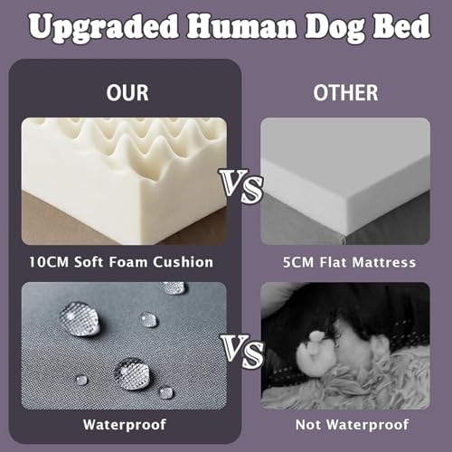 Foldable Foam Pet Bed & Blanket