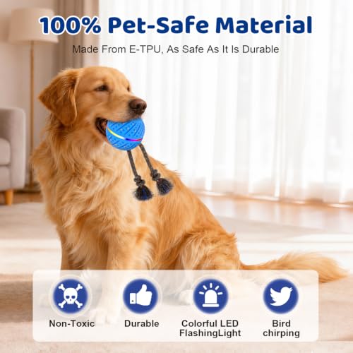 Motion-Activated Dog Ball