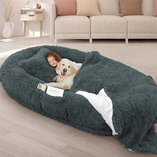 Foldable Foam Pet Bed & Blanket