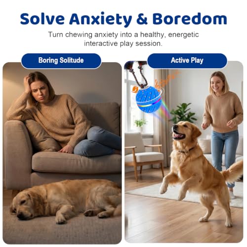 Motion-Activated Dog Ball
