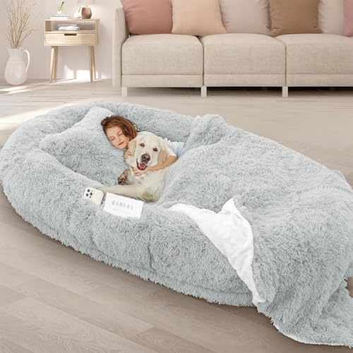 Foldable Foam Pet Bed & Blanket