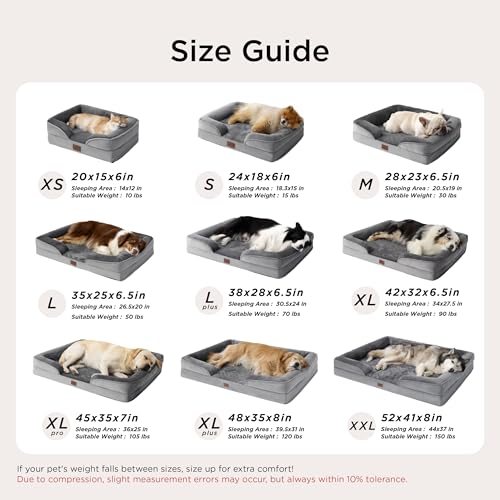 Bolstered Foam Dog Bed
