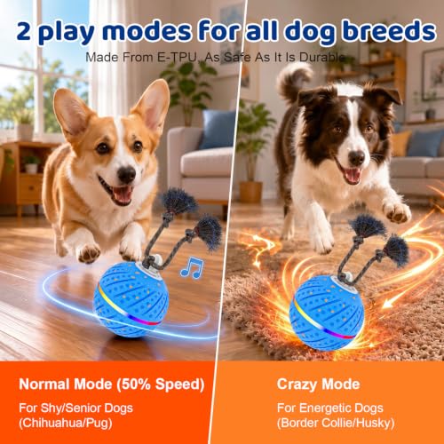 Motion-Activated Dog Ball