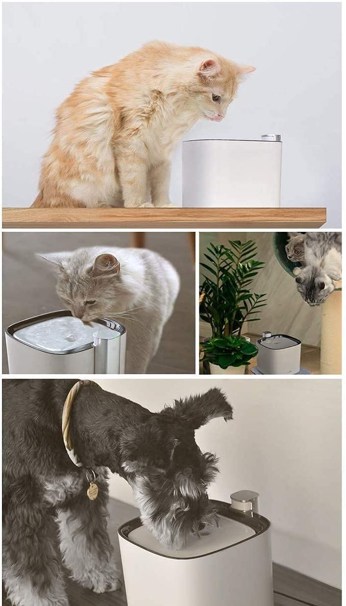 3L Filtered Pet Water Fountain