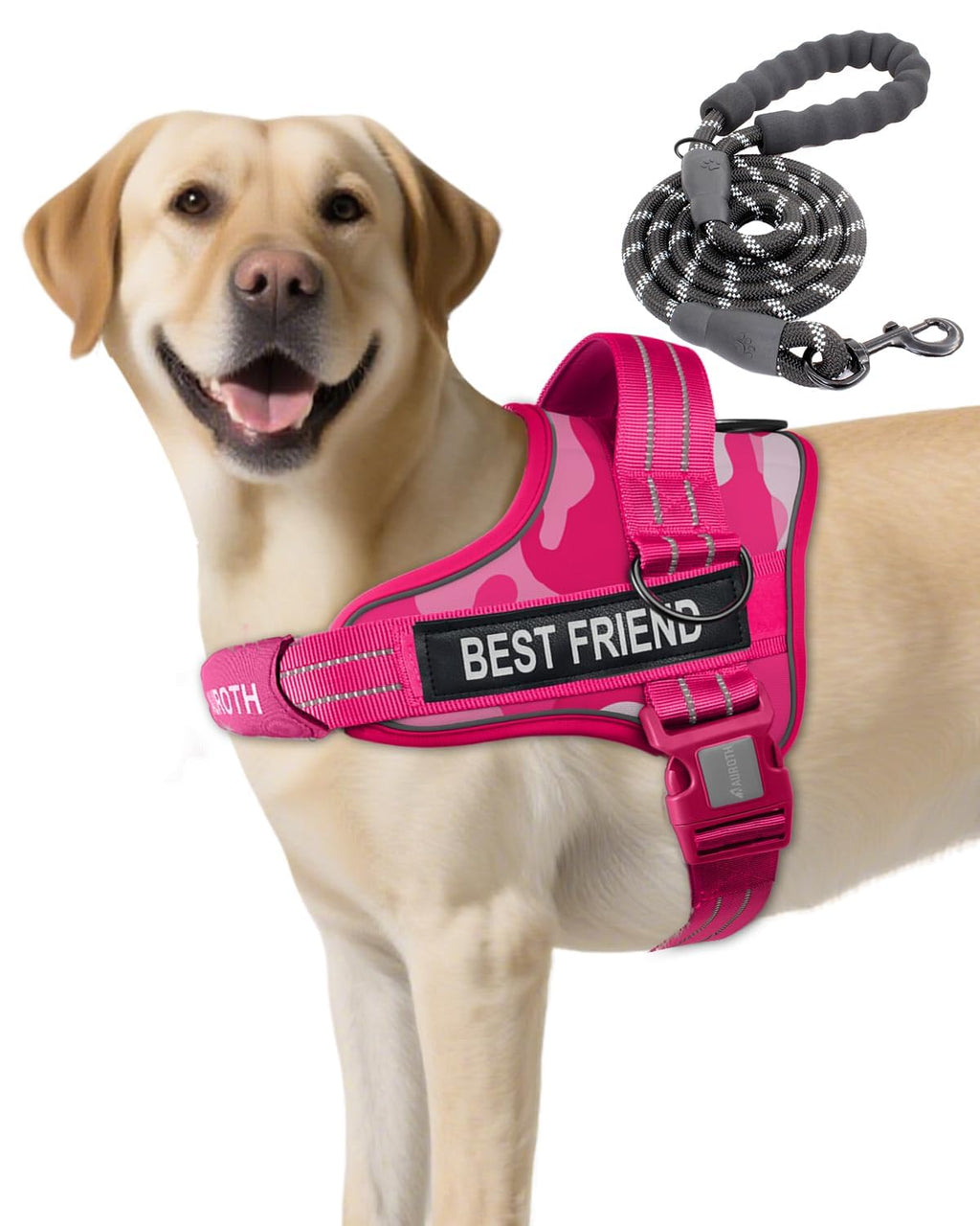 Padded Dog Harness & Leash Set