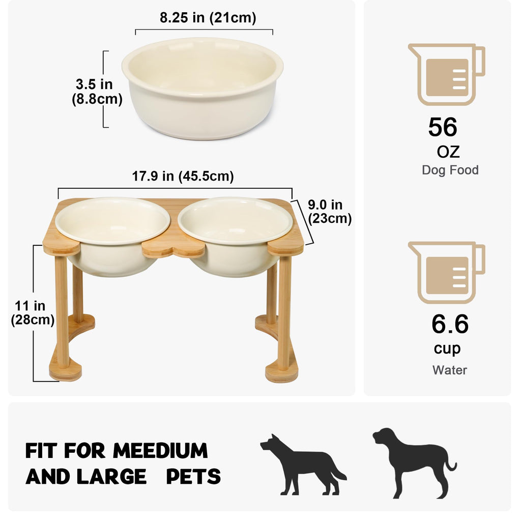 Raised Ceramic Dog Bowl Set