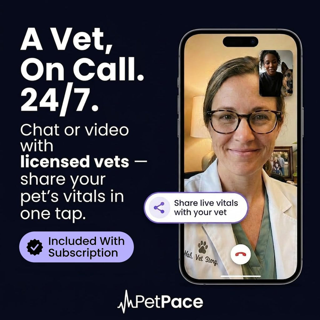 Smart Dog Health & GPS Collar