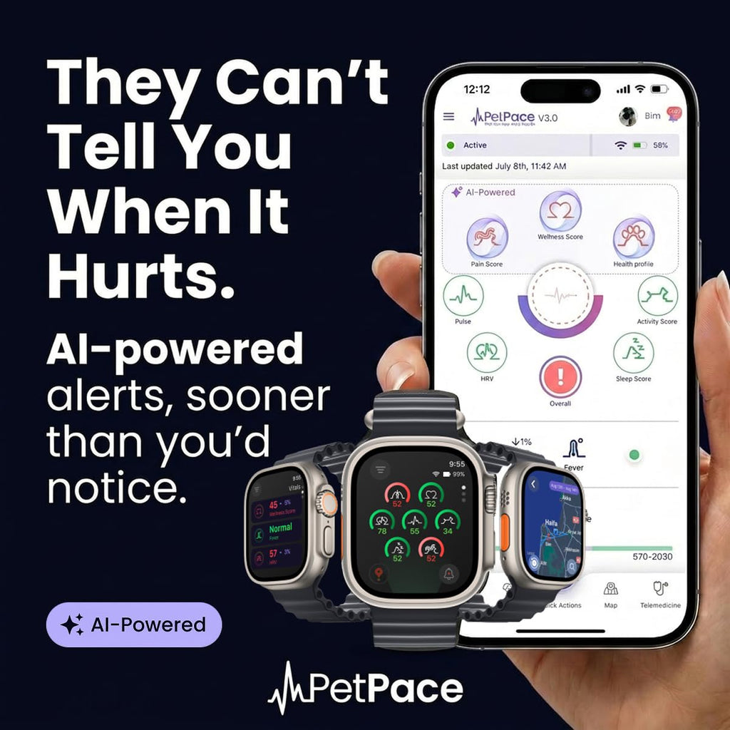 Smart Dog Health & GPS Collar