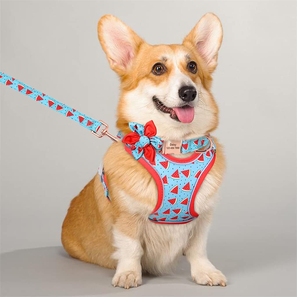 Personalized Dog Harness Vest