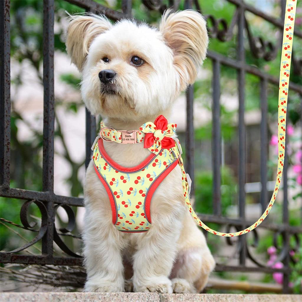 Personalized Dog Harness Vest