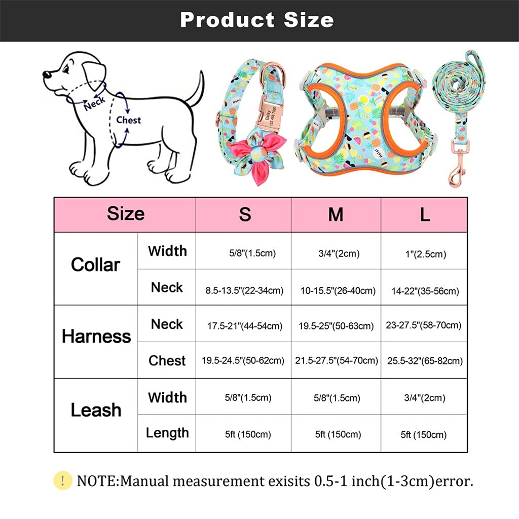 Personalized Dog Harness Vest