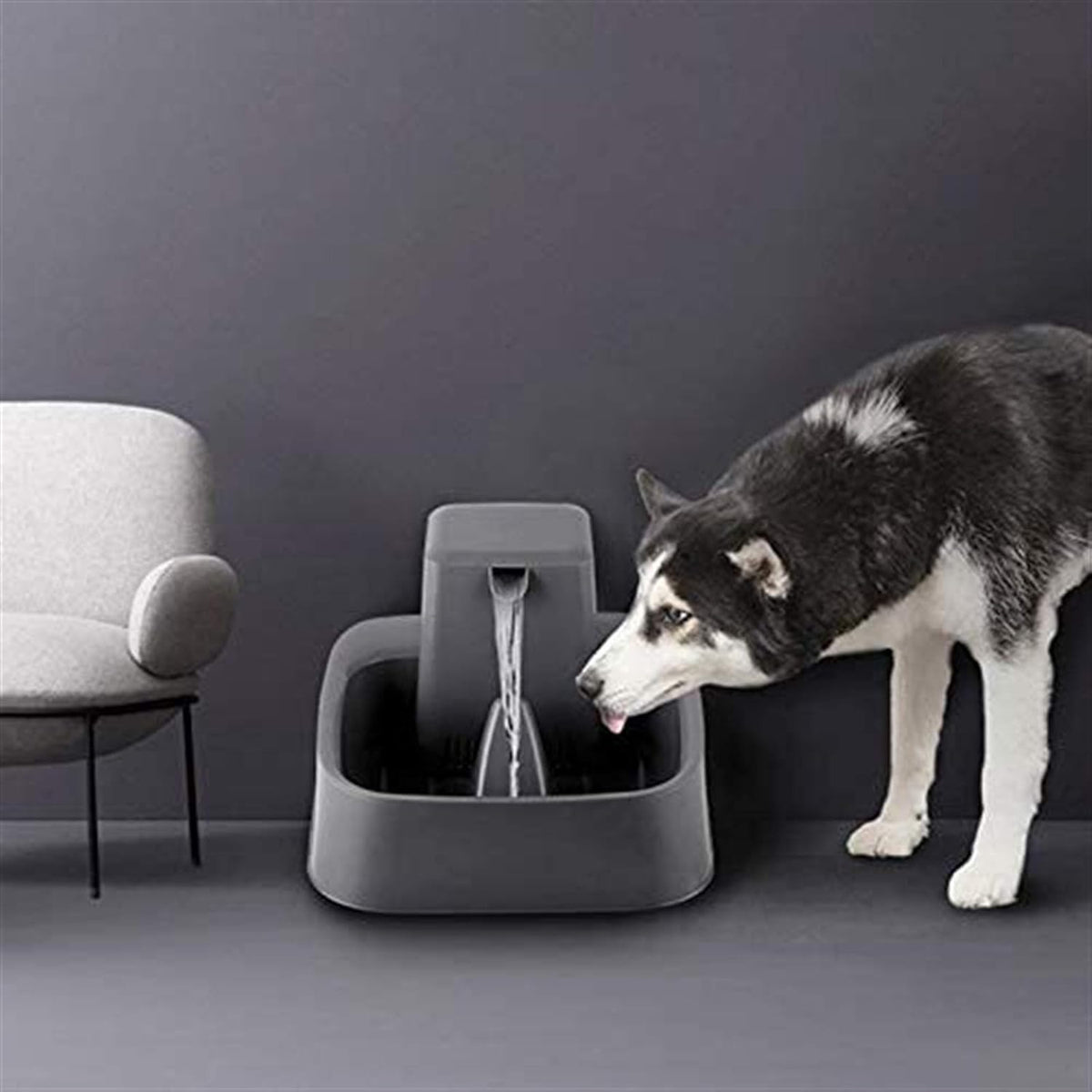 7.5L Filtered Pet Water Fountain
