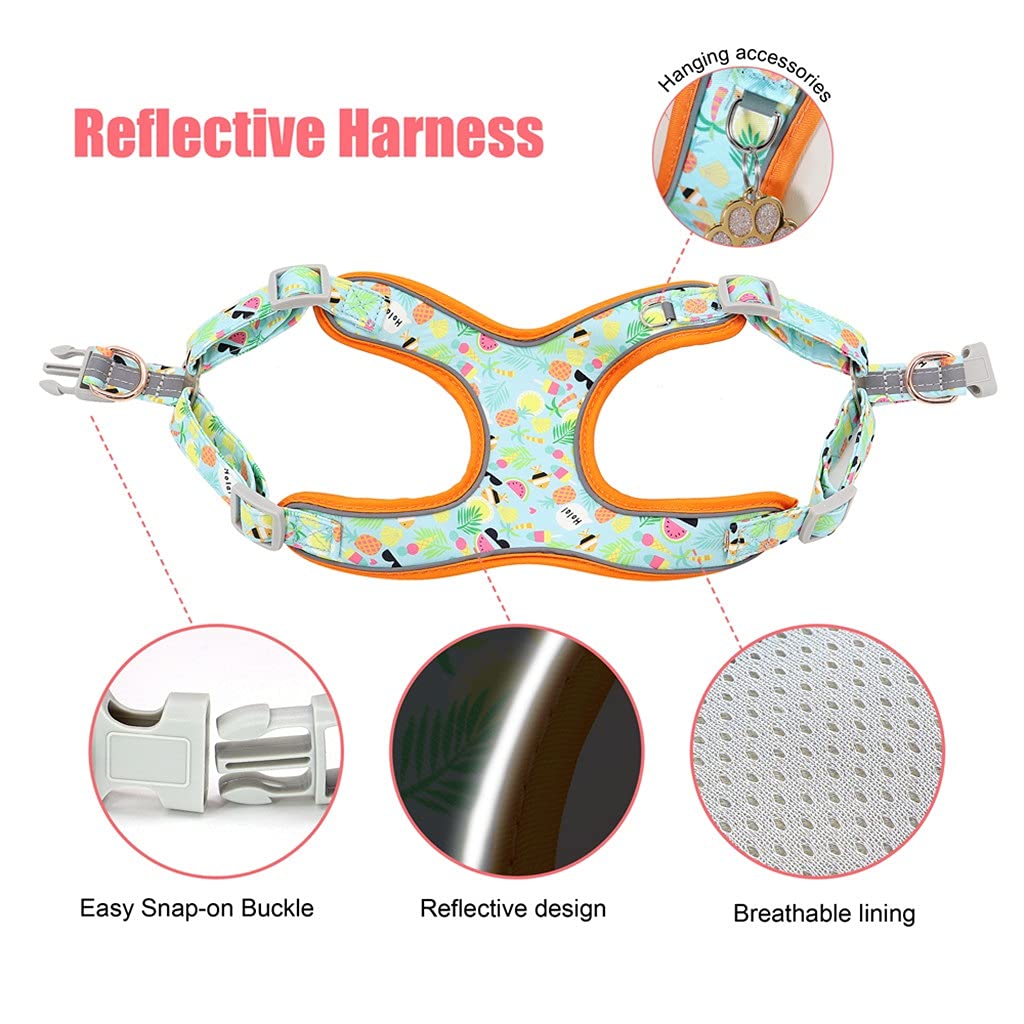 Personalized Dog Harness Vest