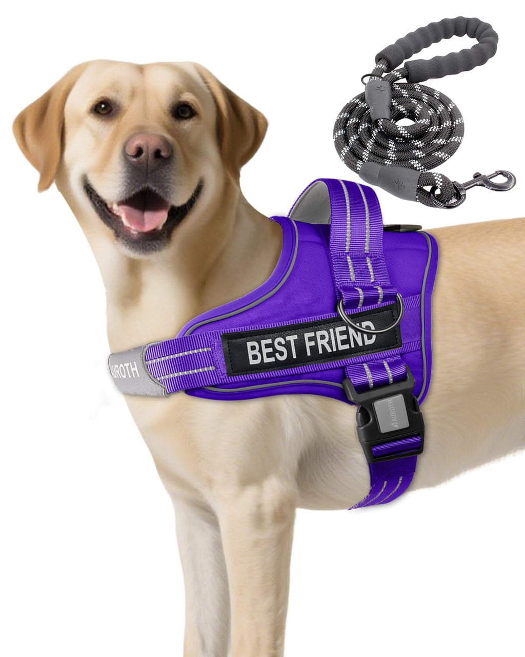 Padded Dog Harness & Leash Set