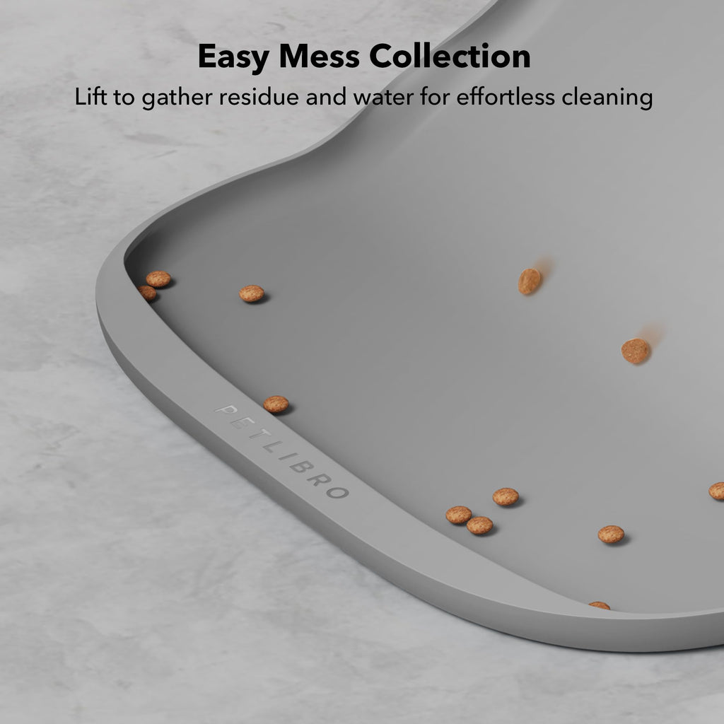 Camera Pet Feeder & Accessories