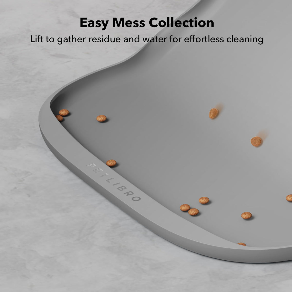 Camera Pet Feeder & Accessories