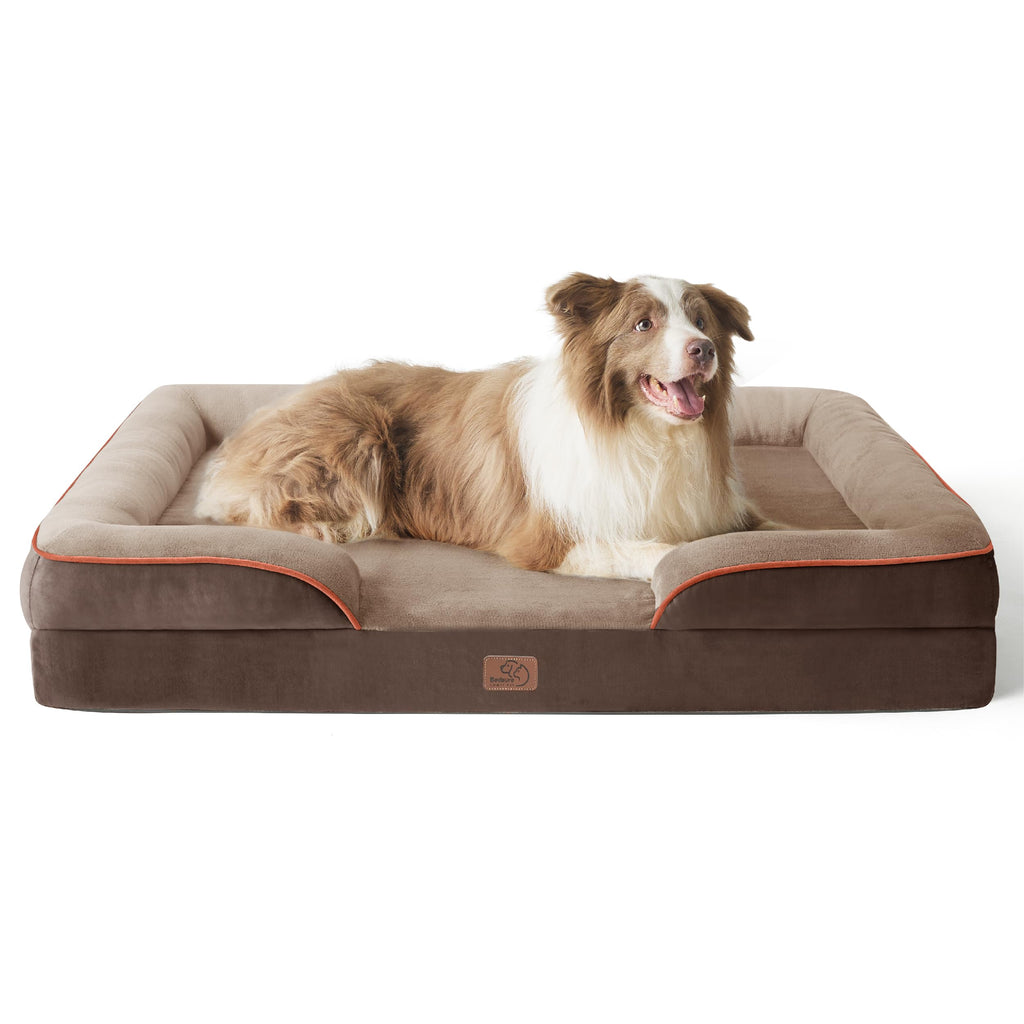 Bolstered Foam Dog Bed