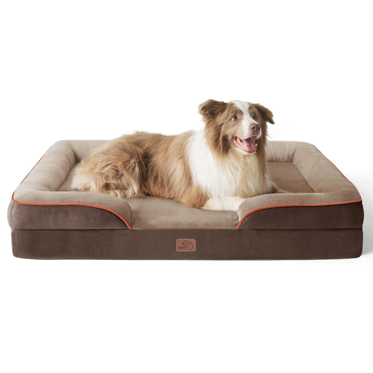 Bolstered Foam Dog Bed