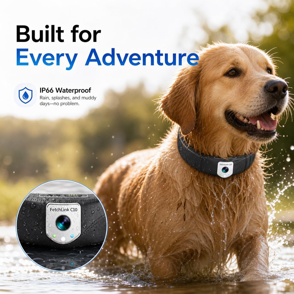 GPS Pet Camera Collar