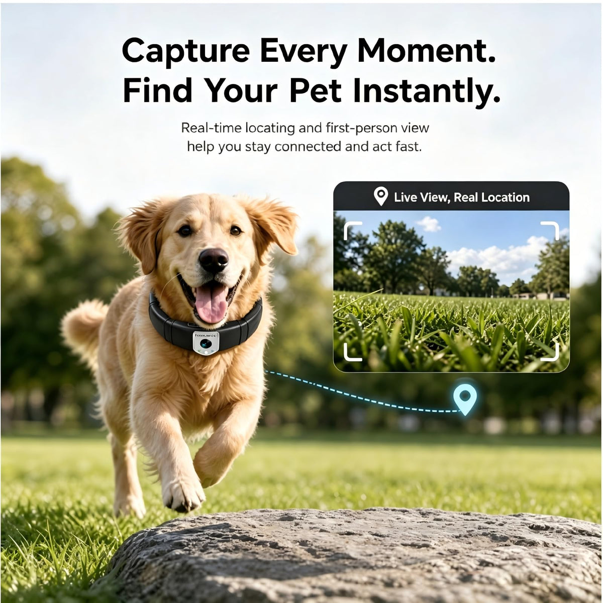 GPS Pet Camera Collar