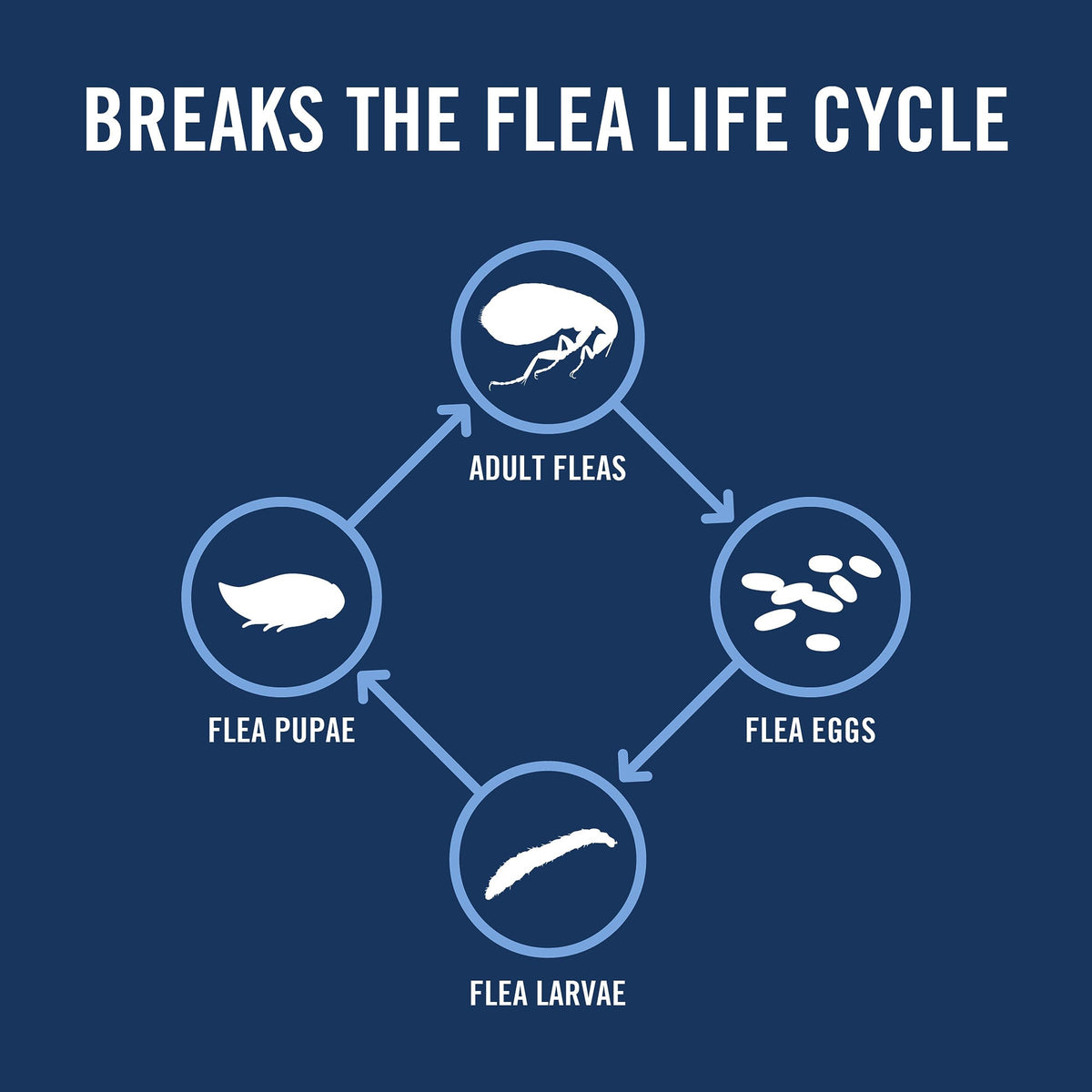 Flea & Tick Treatment for Pets