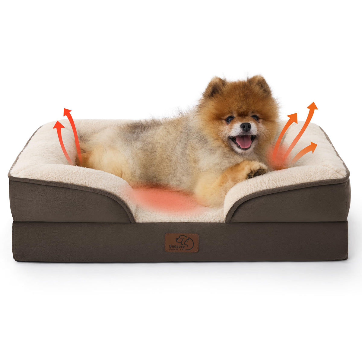 Bolstered Foam Dog Bed