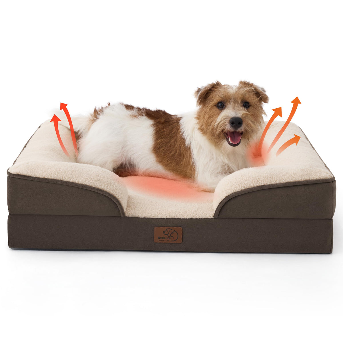 Bolstered Foam Dog Bed