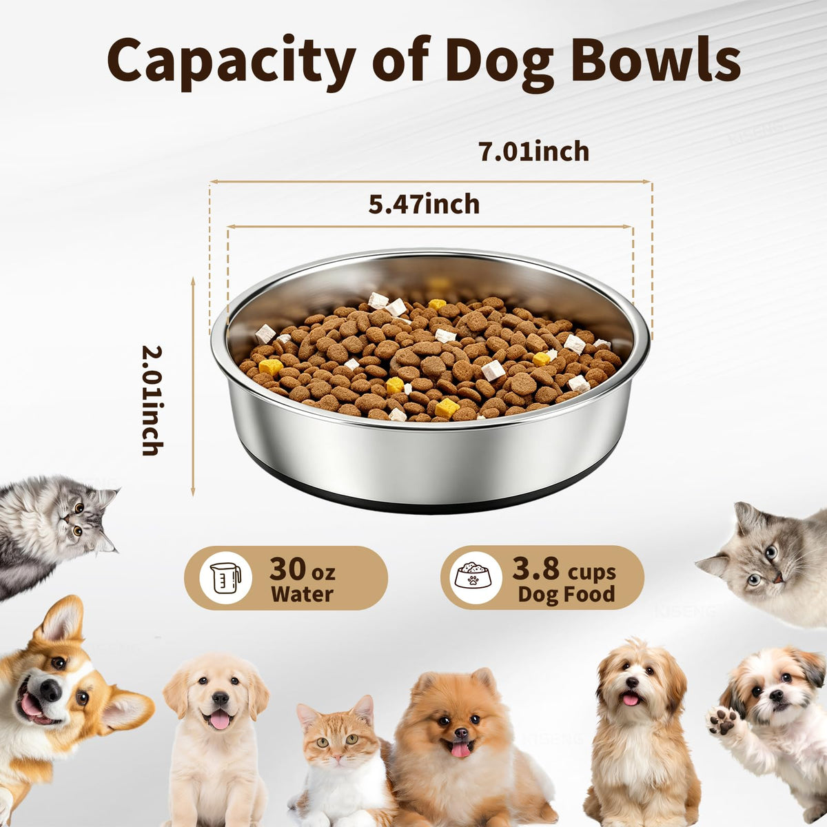 Stainless Steel Pet Bowl 2-Pack