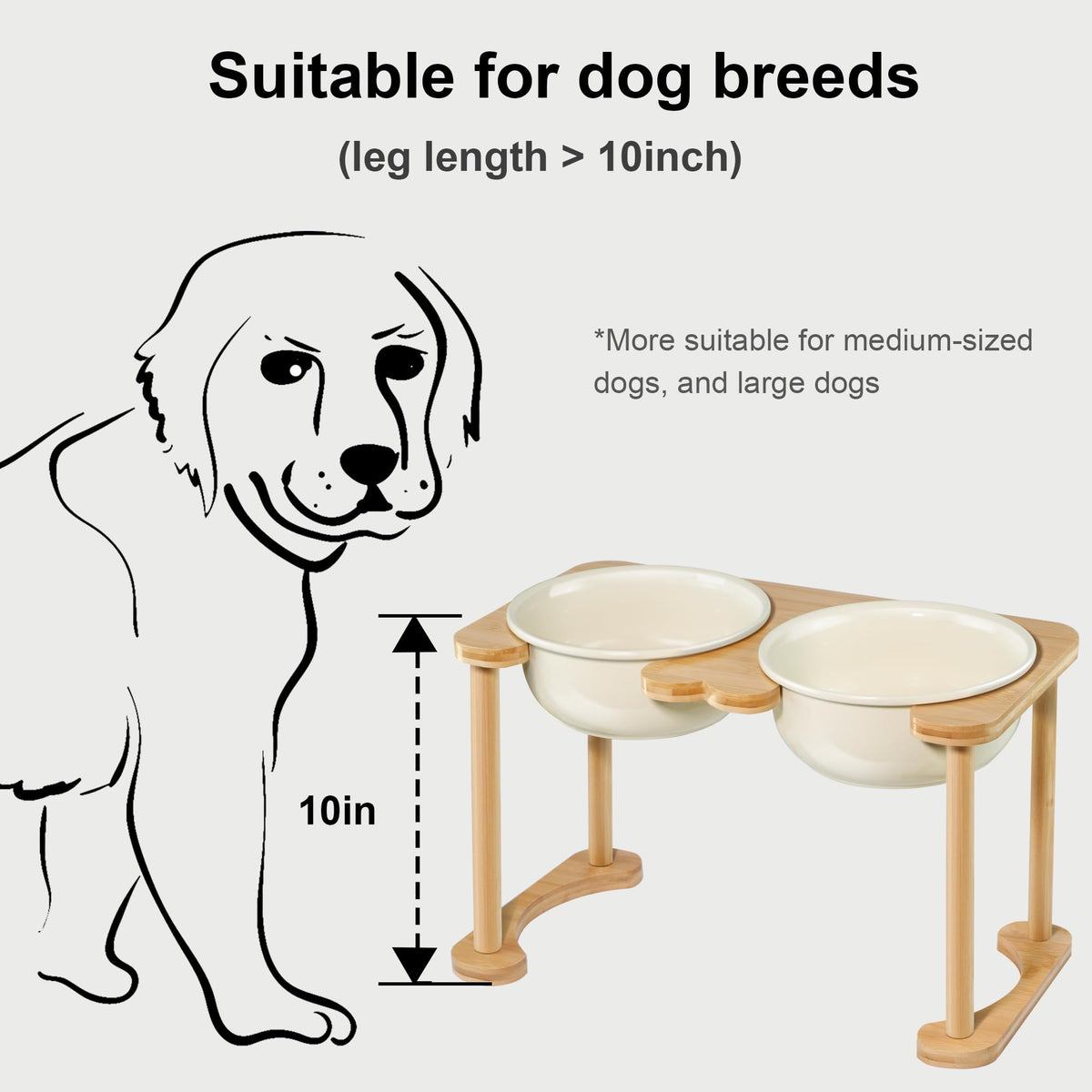 Raised Ceramic Dog Bowl Set