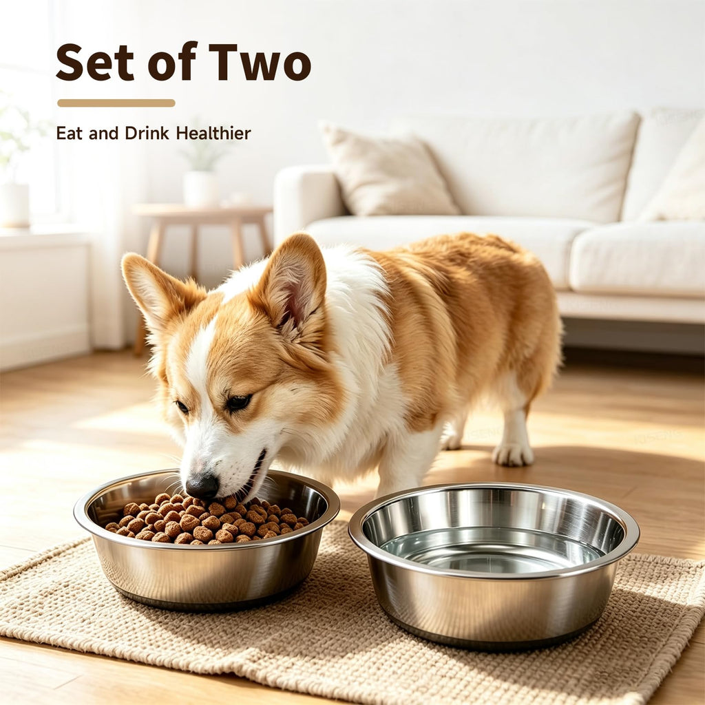 Stainless Steel Pet Bowl 2-Pack