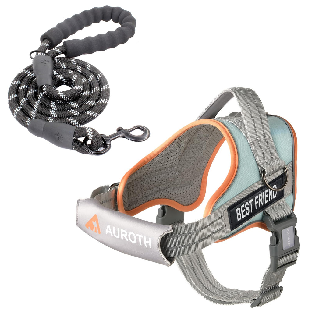 Padded Dog Harness & Leash Set
